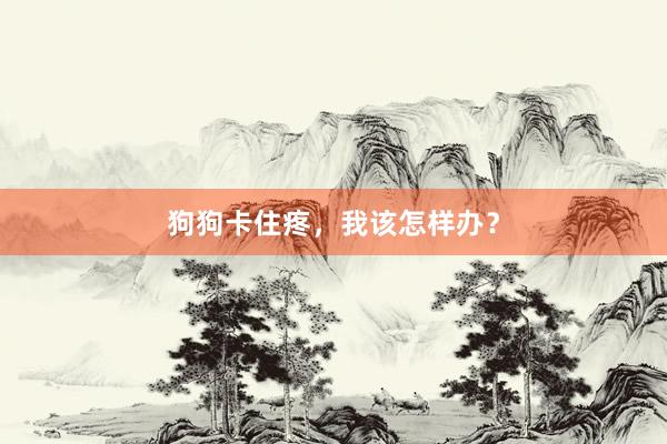 狗狗卡住疼，我该怎样办？